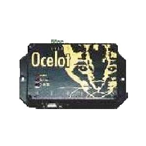 Ocelot